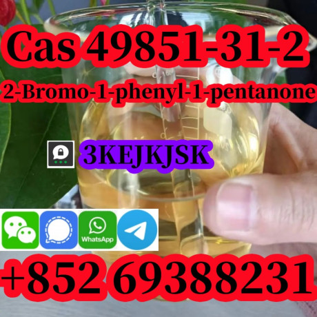 fabricante-chino-de-2-bromo-1-fenil-1-pentanona-cas-49851-31-2-de-la-mejor-calidad-big-4