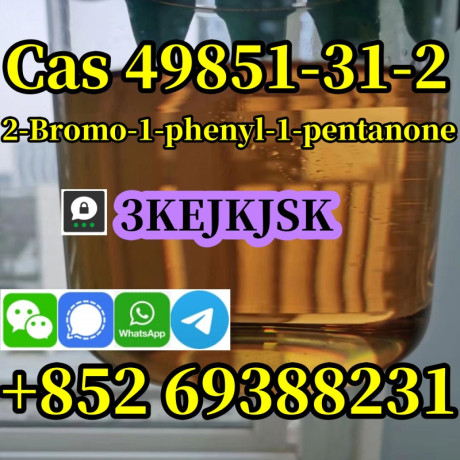 fabricante-chino-de-2-bromo-1-fenil-1-pentanona-cas-49851-31-2-de-la-mejor-calidad-big-3