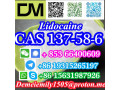 cas-137-58-6-lidocaine-china-factory-sales-low-price-high-purity-good-quality-hot-selling-safe-delivery-fast-delivery-small-5