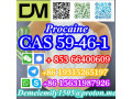 cas-59-46-1-procaine-china-factory-supply-lower-price-high-purity-high-quality-small-1