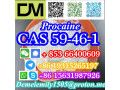 cas-59-46-1-procaine-china-factory-supply-lower-price-high-purity-high-quality-small-4