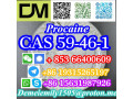 cas-59-46-1-procaine-china-factory-supply-lower-price-high-purity-high-quality-small-0